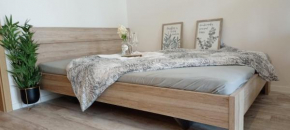 Apartmán Dvojka Náchod